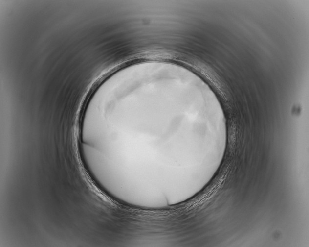 X0000099230840200805151628