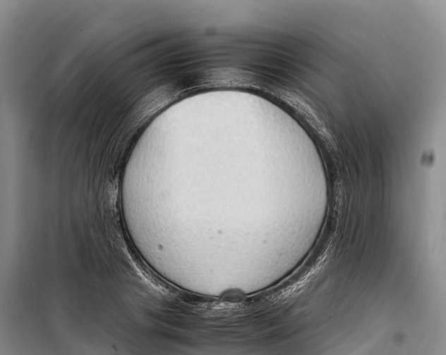 X0000099230841200805151628