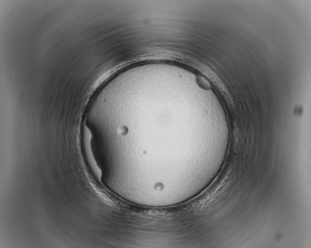 X0000099230842200805151628