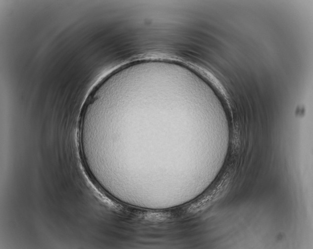 X0000099230847200805151628