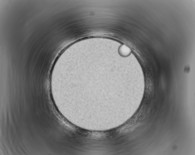 X0000099230848200805151628