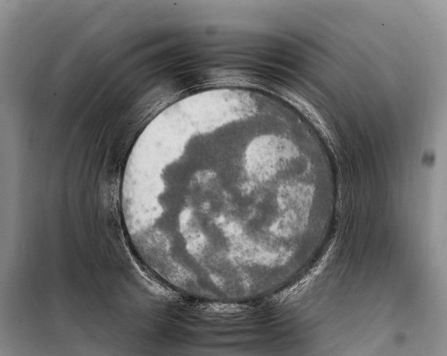 X0000099230849200805151628