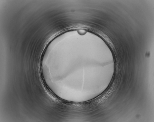 X0000099230850200805151628