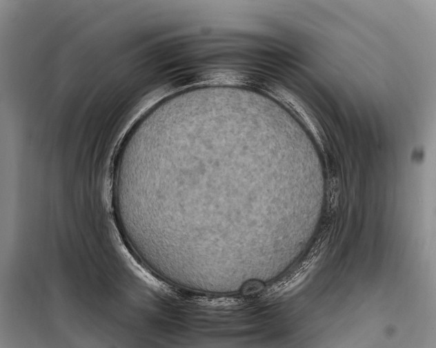 X0000099230851200805151628