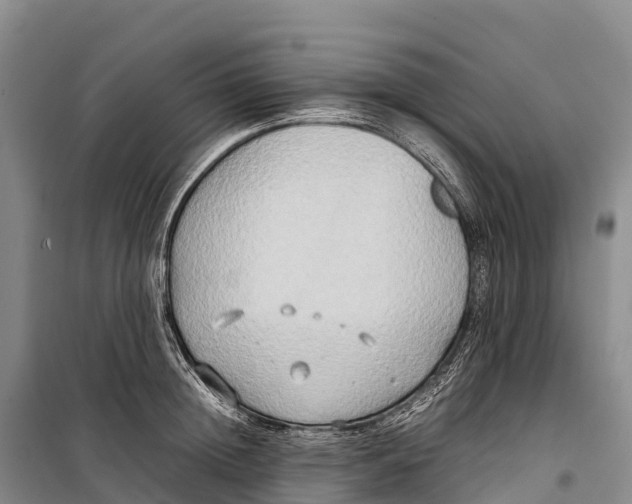 X0000099230852200805151628