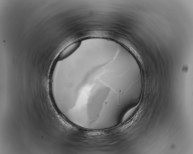 X0000099230853200805151628