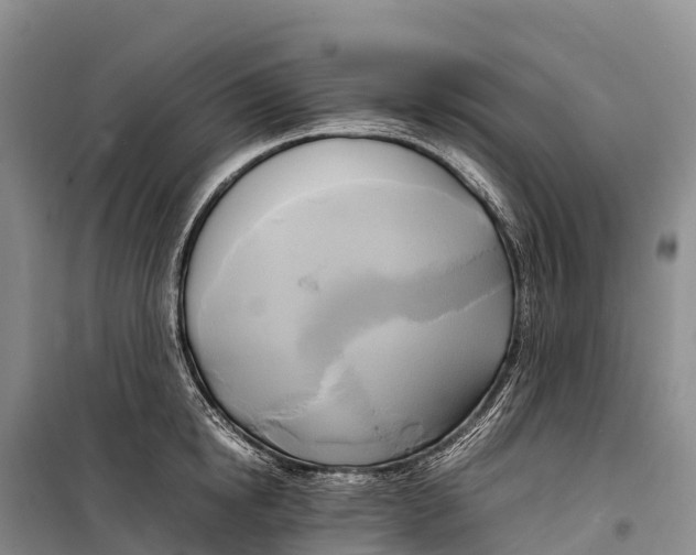 X0000099230854200805151628