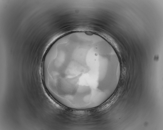 X0000099230855200805151628