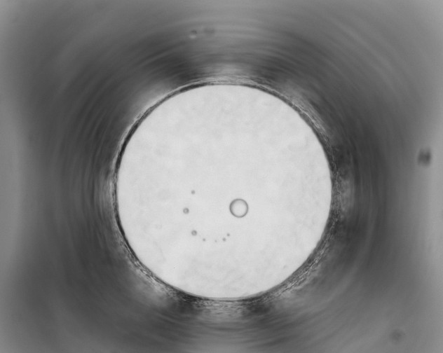 X0000099230856200805151628