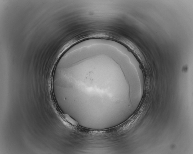 X0000099230858200805151628