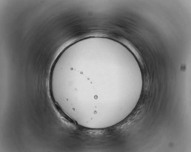 X0000099230861200805151628