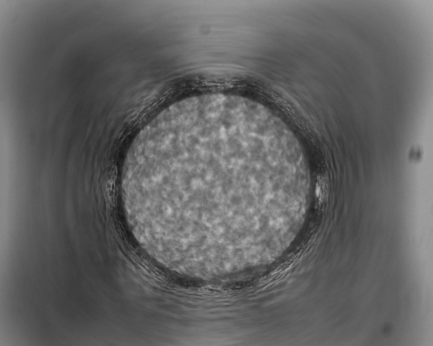 X0000099230867200805151627