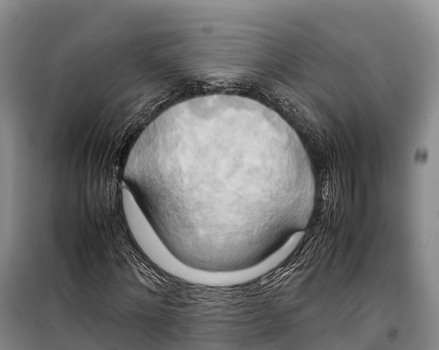 X0000099230868200805151627