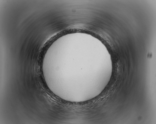 X0000099230872200805151627