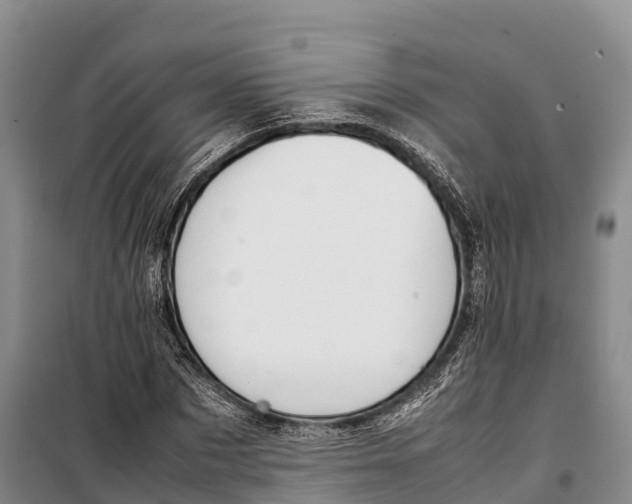 X0000099230873200805151627