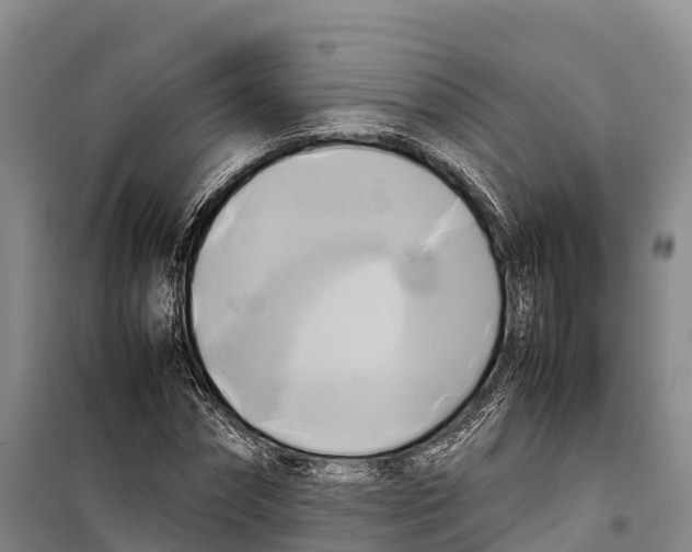 X0000099230874200805151627