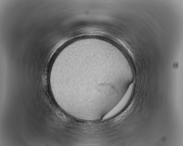 X0000099230875200805151627