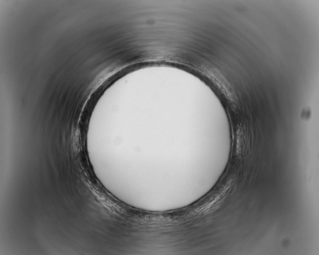 X0000099230876200805151627