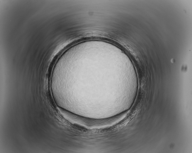 X0000099230877200805151627