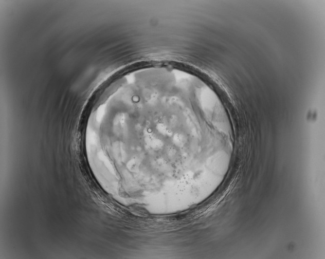 X0000099230879200805151627