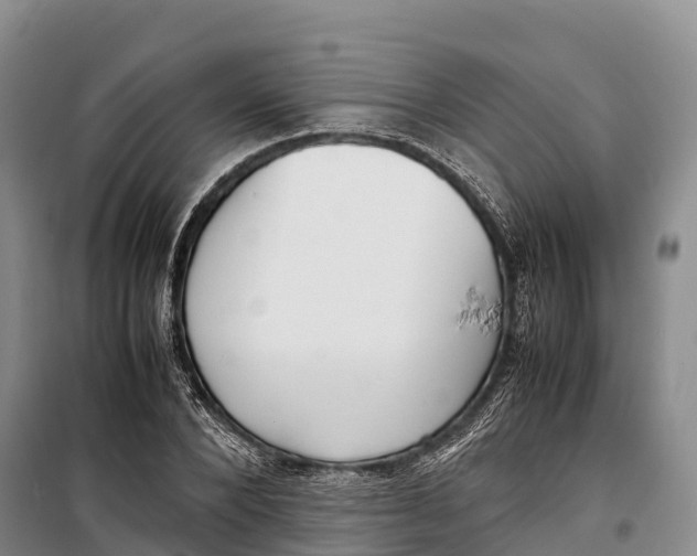 X0000099230880200805151627