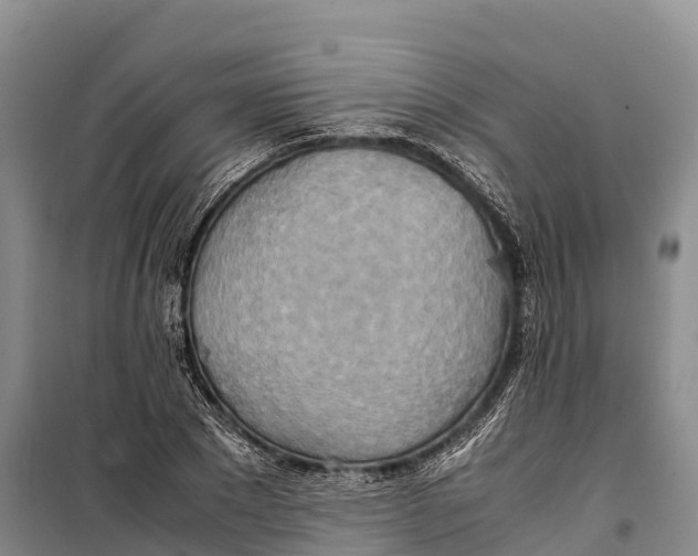 X0000099230881200805151627