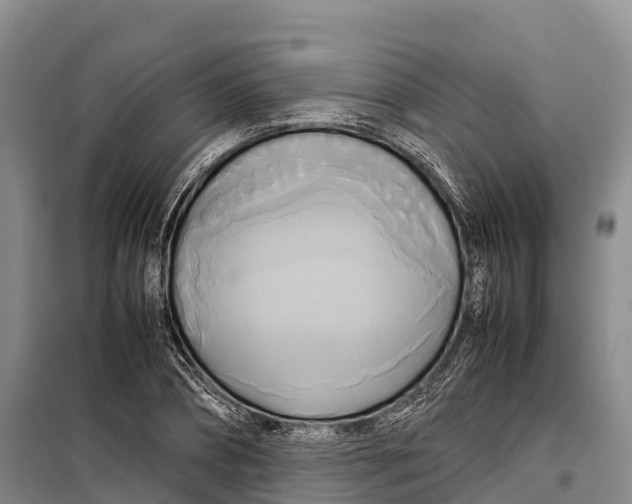 X0000099230882200805151627