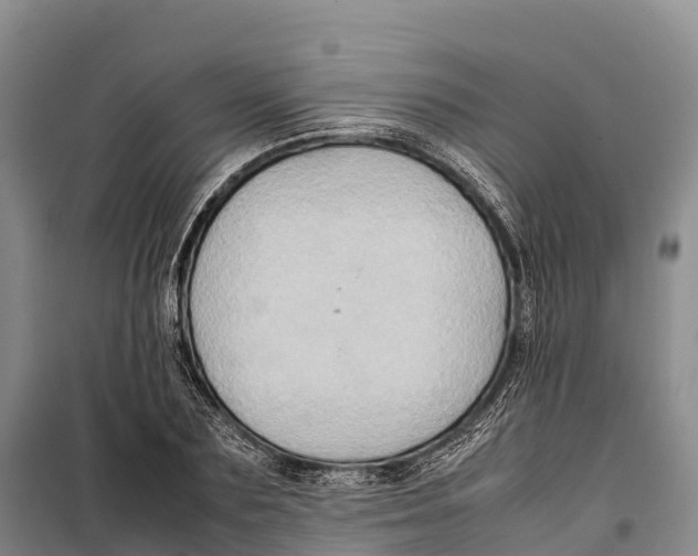 X0000099230883200805151627