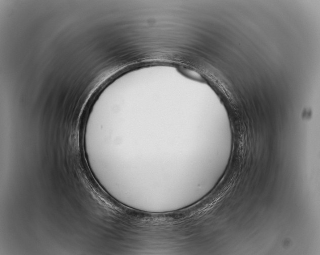 X0000099230884200805151627