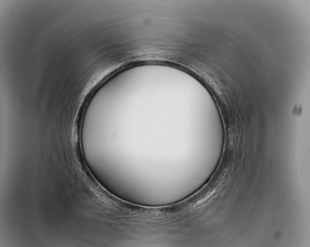 X0000099230885200805151627