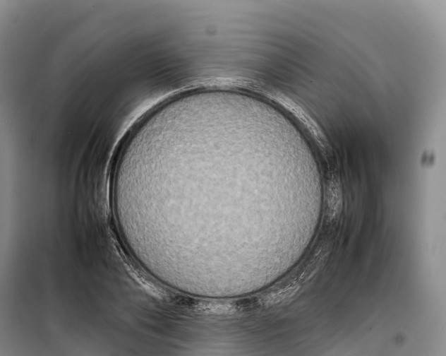 X0000099230886200805151627