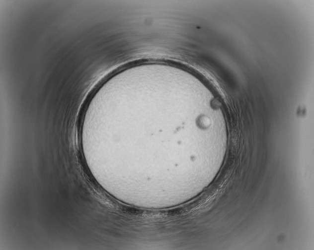 X0000099230887200805151627