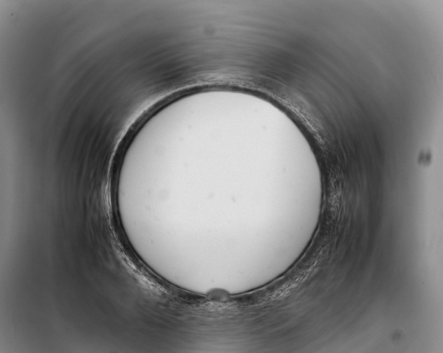 X0000099230888200805151627