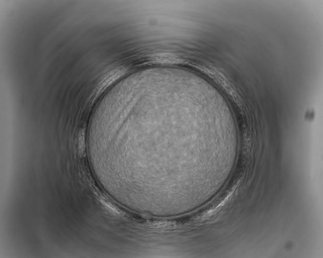 X0000099230889200805151627