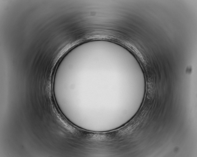 X0000099230890200805151627