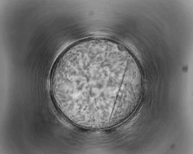 X0000099230891200805151627