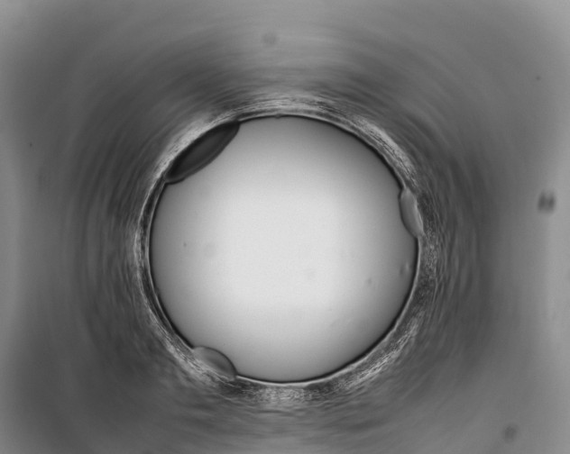 X0000099230893200805151627