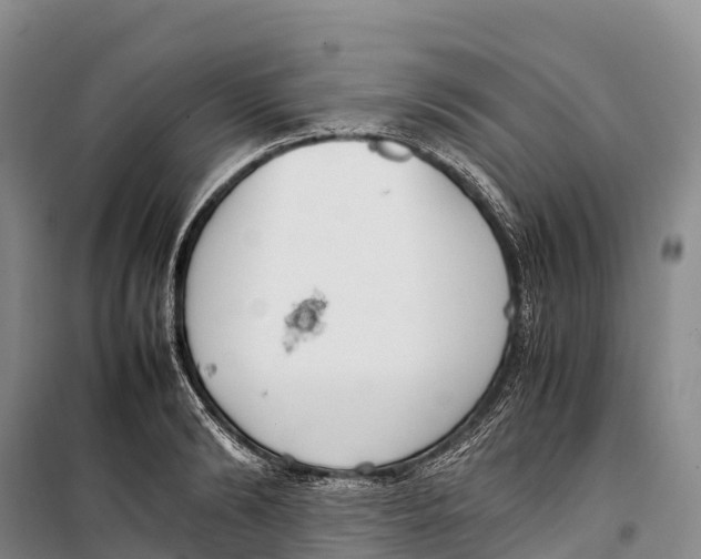 X0000099230894200805151627