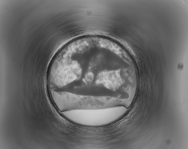 X0000099230895200805151627