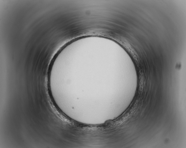 X0000099230896200805151627