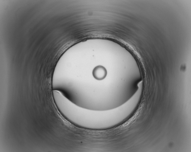 X0000099230897200805151627