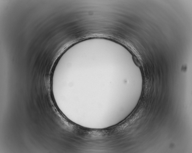 X0000099230898200805151627