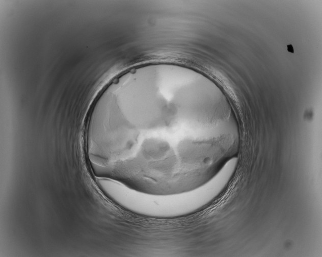 X0000099230899200805151627