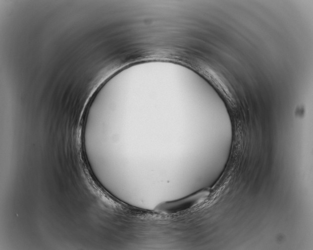 X0000099230900200805151627