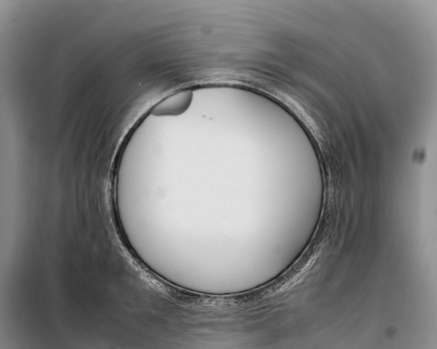 X0000099230901200805151627