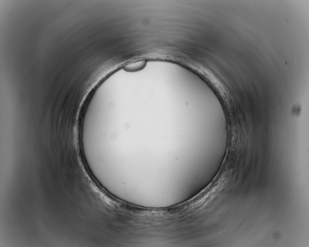 X0000099230902200805151627