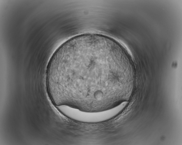 X0000099230903200805151627