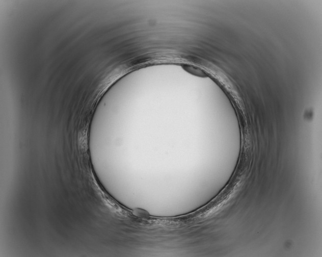 X0000099230905200805151627