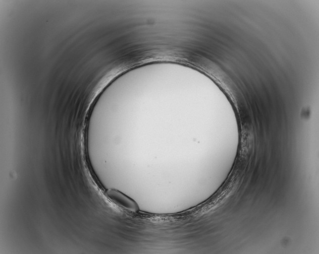 X0000099230906200805151627