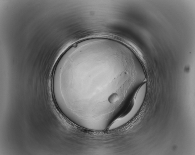 X0000099230907200805151627